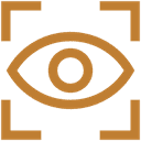Visionary 